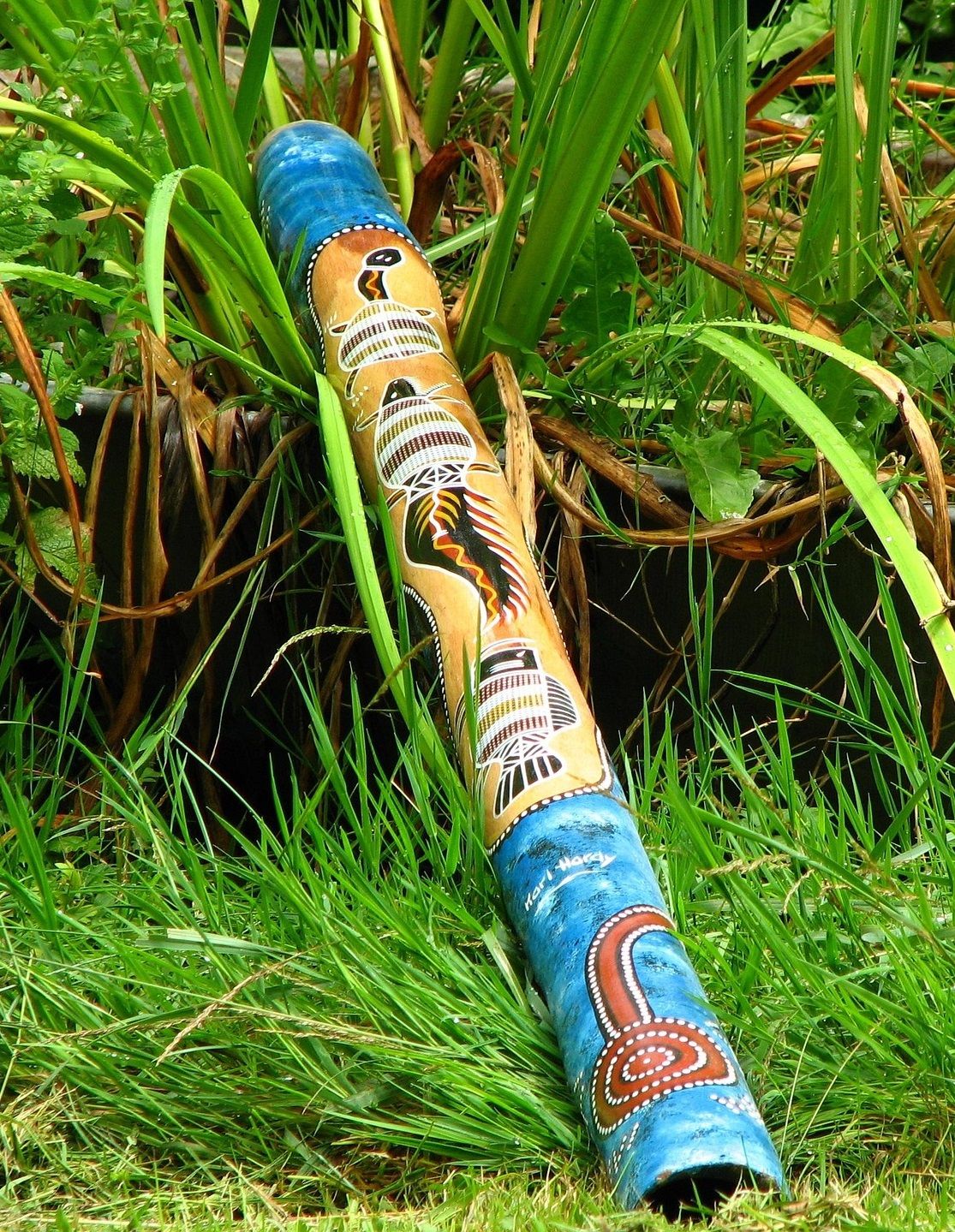 Ein bunt verziertes Didgeridoo liegt auf einer grünen Wiese. 