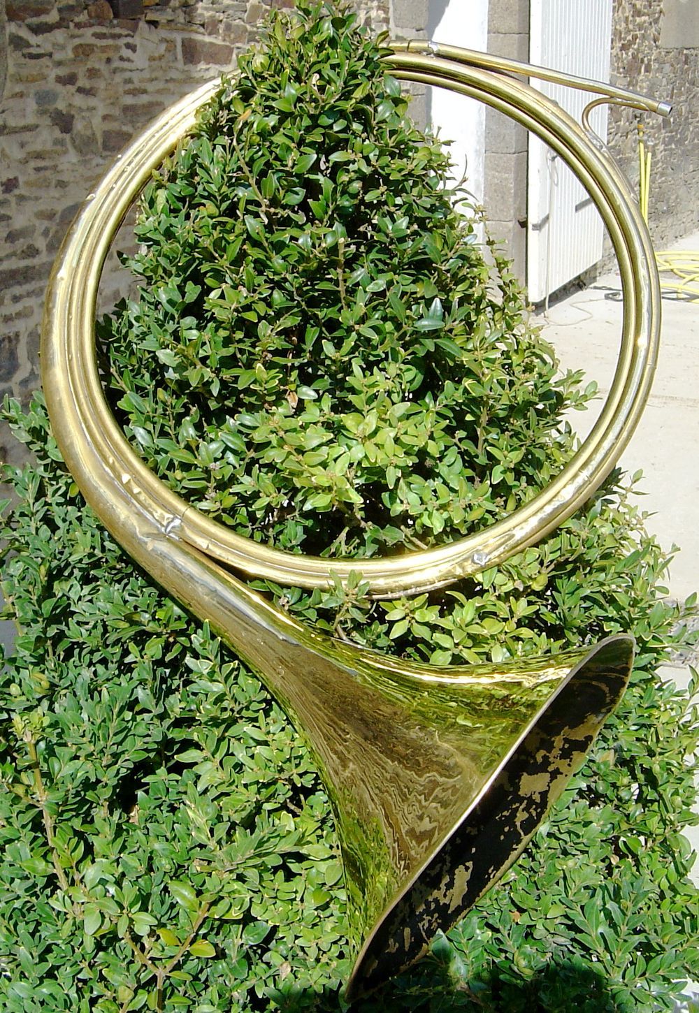 An einem grünen Busch lehnt ein goldenes rundgebogenes Parforcehorn.