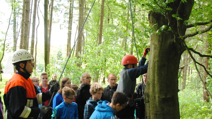 Kinder klettern mit Kletterausrüstung im Wald an einem Baum hoch. 